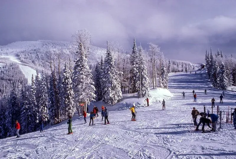 Ski & Snowboard Lessons