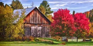 Fall Foliage in Vermont
