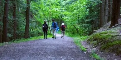 Hiking