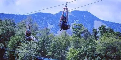 Zipline